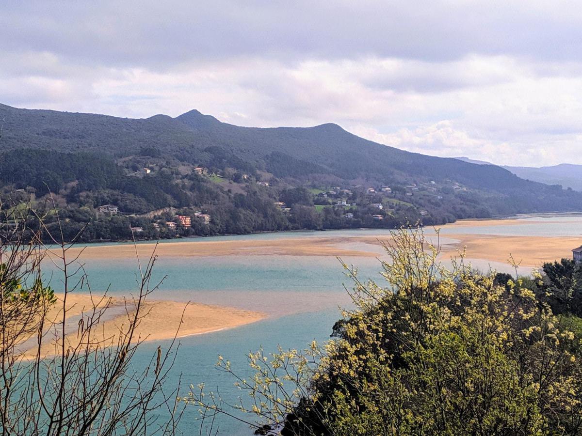 Lamerako Etxie - La Casa Del Parque - Park S Home Bermeo Dış mekan fotoğraf